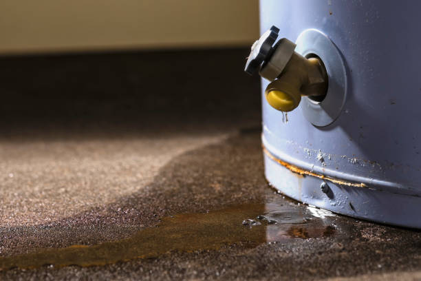 Best Water damage restoration experts  in Yosemite Valley, CA