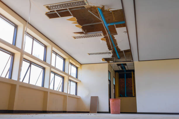 Carpet water damage restoration in Yosemite Valley, CA