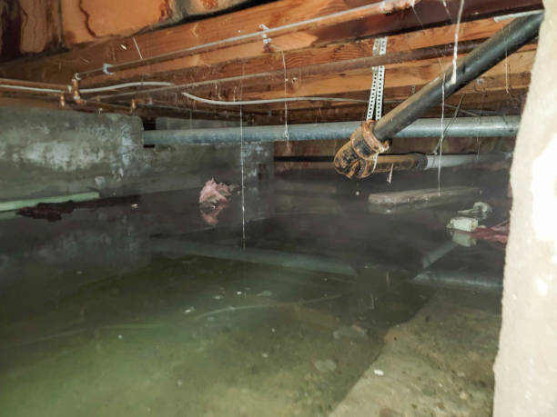 Best Carpet water damage restoration  in Yosemite Valley, CA