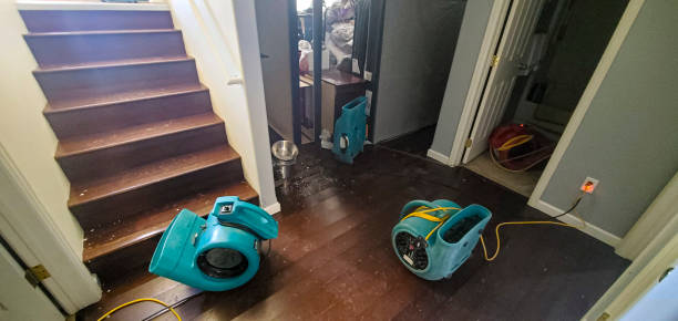 Best Commercial water damage restoration  in Yosemite Valley, CA