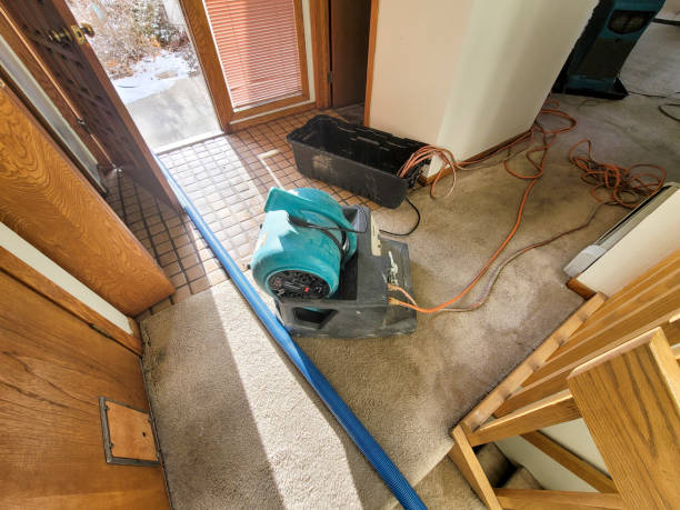 Best 24/7 water damage repair  in Yosemite Valley, CA