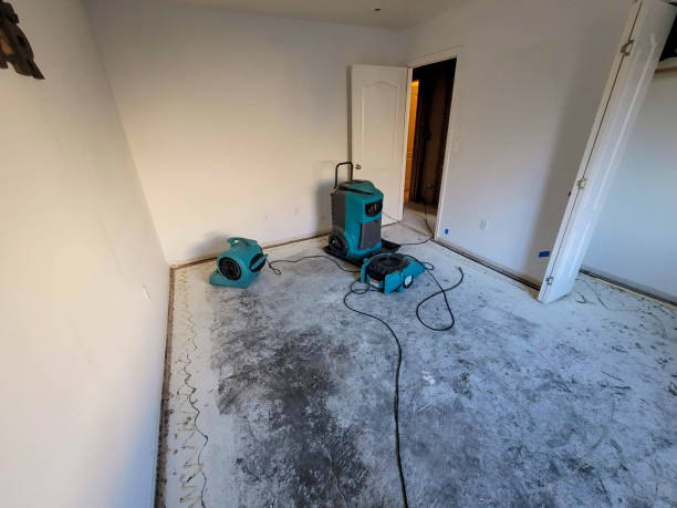 Best Water damage restoration insurance claims  in Yosemite Valley, CA