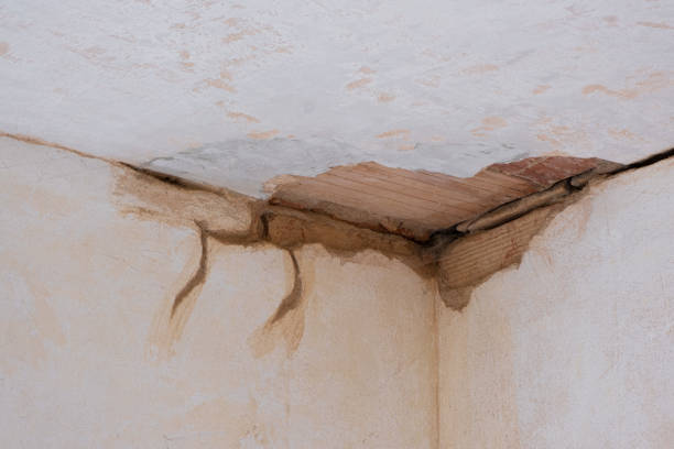 Best Emergency water damage restoration  in Yosemite Valley, CA