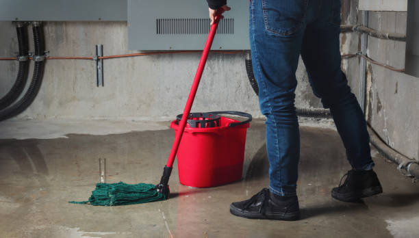 Best Water damage restoration near me  in Yosemite Valley, CA