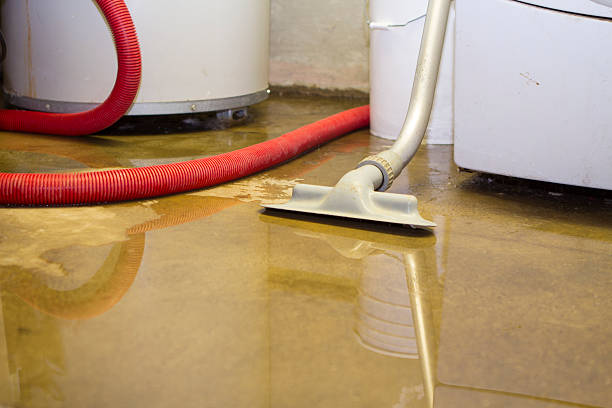 Best Water damage restoration specialists  in Yosemite Valley, CA
