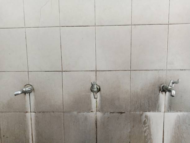 Best Water damage contractors near me  in Yosemite Valley, CA