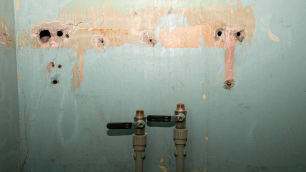 Best Flooded house restoration  in Yosemite Valley, CA