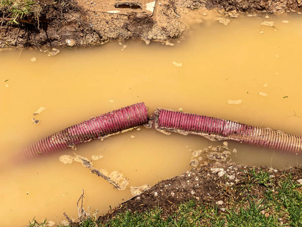 Best Residential water damage restoration  in Yosemite Valley, CA