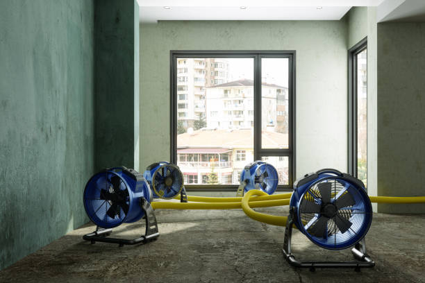 Best Fire Damage Restoration  in Yosemite Valley, CA